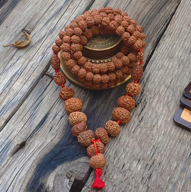 1–14 Mukhi Rudraksha Mala (Indonesia Origin) | Sarva Siddha Mala with Gauri Shankar & Ganesh